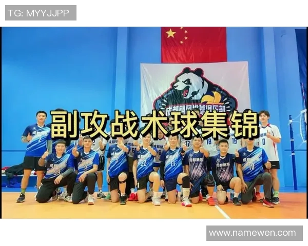 杭州排球队反击战术解析与实战应用探讨