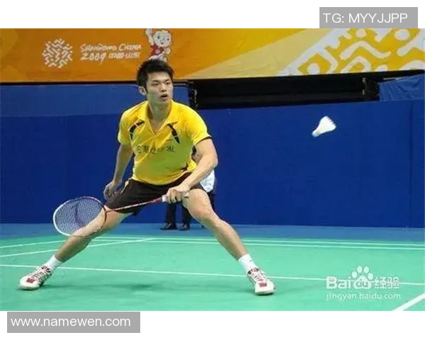 深度分析深圳羽毛球队区域防守战术及其对比赛的影响 深度分析深圳羽毛球队区域防守战术及其对比赛的影响