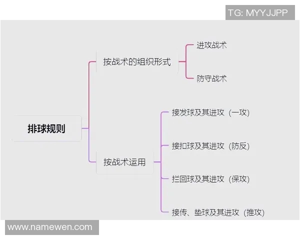 武汉排球队反击战术深度解析与实战应用探讨