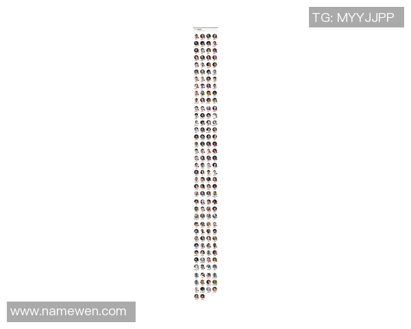 武汉羽毛球队在世界锦标赛积分榜上以52分稳居第一名展现强劲实力