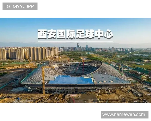 西安足球队实力分析与赛季表现评估的全面研究与探讨