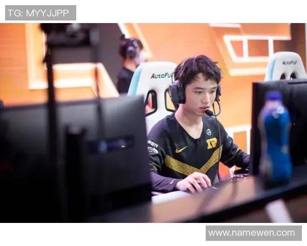 赛后复盘：BLG与RNG对决中的战术意识与团队配合分析