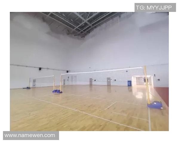 南京排球队引领最新排球节奏TOP10榜单全景解析