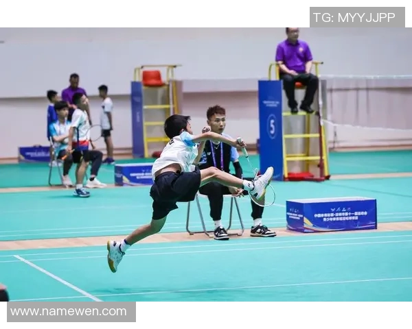 南京羽毛球队的耐力训练与比赛表现探讨聚焦羽毛球运动的挑战与发展 南京羽毛球队的耐力训练与比赛表现探讨聚焦羽毛球运动的挑战与发展