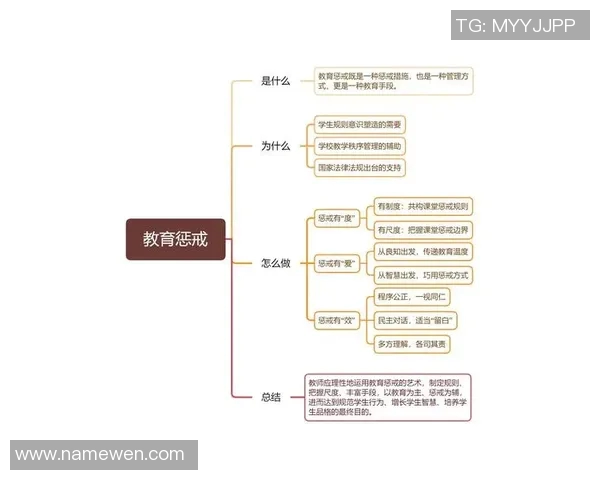 排球新手必看：提升比赛意识的实用入门技巧与策略分享