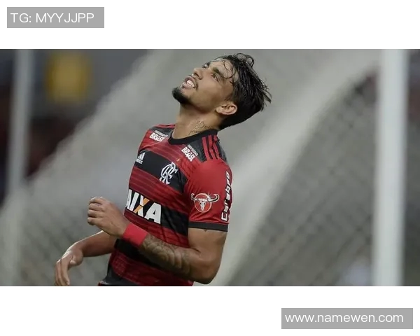 帕奎塔的足球之路：从巴西新星到欧洲顶级中场的华丽转身