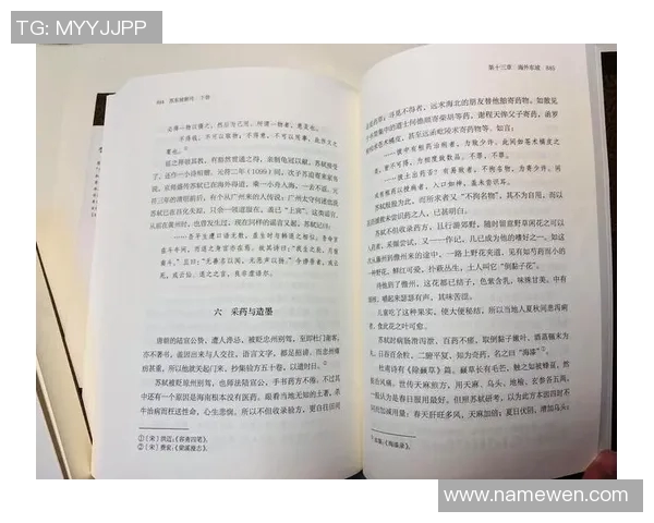 李禄的传奇人生与历史影响探讨：从文人到政治家的多重身份解析