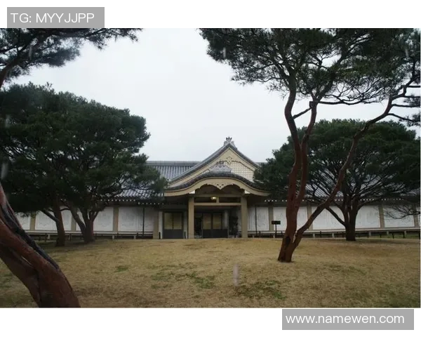 金泽赛维迎战大阪樱花争夺联赛积分全力以赴展现实力