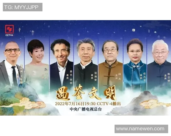 韩国与中国央视网的对比分析与文化交流探讨