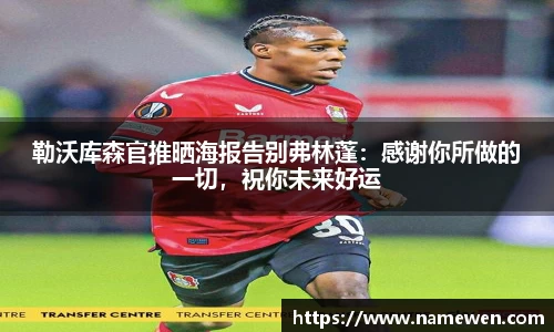 NG娱乐