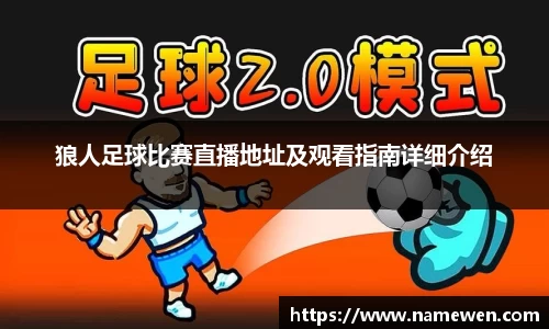 28圈体育