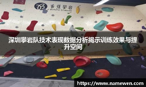 28圈体育