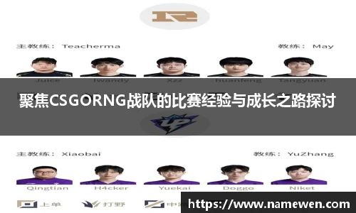 Ng集团
