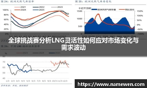 全球挑战赛分析LNG灵活性如何应对市场变化与需求波动