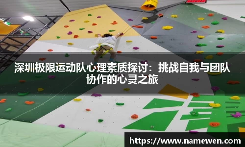 28圈体育