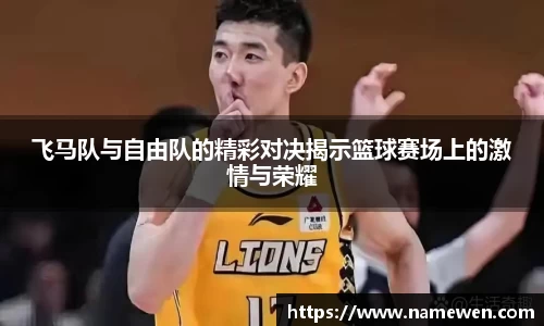 28圈体育