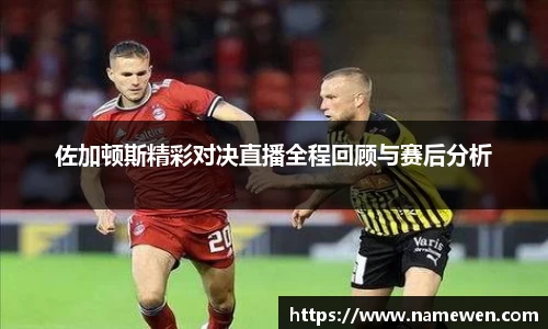 28圈体育