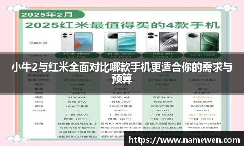 28圈体育